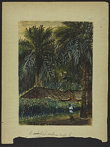 Cases indigènes sous les palmiers