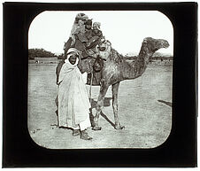 Biskra. Chameau et famille arabe. Emigration: famille arabe changeant de canton.