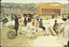 Marché de coton brut