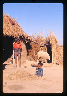 Rajasthan : désert de Tahr, village Barnawa