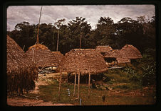 Village Wayana