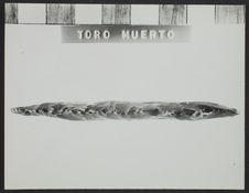 Toro Muerto. Majes. Outillage lithique