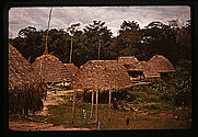 Village Wayana