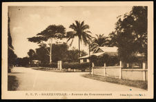 A. E. F. Brazzaville. Avenue du Gouvernement