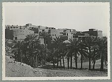 Maroc. Figuig. Les ksours d'El Hammam (vue du sud-ouest)