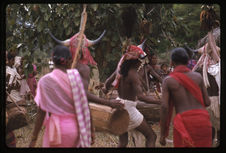 Madhya Pradesh : danse des bisons + instruments