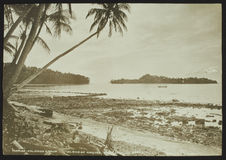 Florida - Solomon group. Island of Hagima, from Honggo
